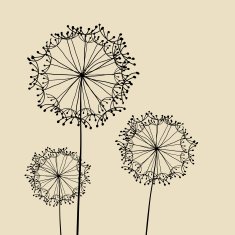 Abstract Dandalions background N7