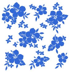 picture of the Hibiscus