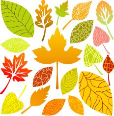 Fall leaves collection