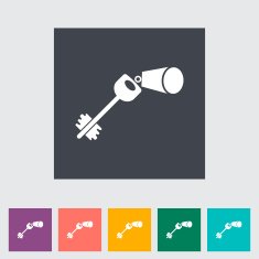 Key flat icon N3