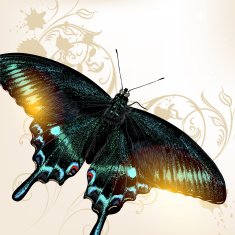 Fashion background with butterfly N2