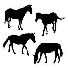 horses silhouettes set N2