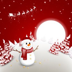 Vector Christmas Background N51