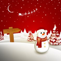 Vector Christmas Background N52