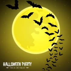 Bats fly over moon N2