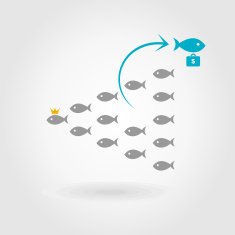Flight of fishes N2