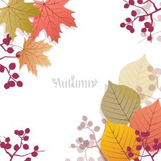 Beautiful seasonal Background with autumn leaves and berries