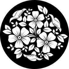 White flower ornament on a black background Vector illustration N2