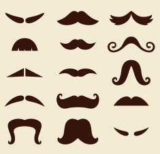 Stylish Retro Mustaches big collection ( vector )