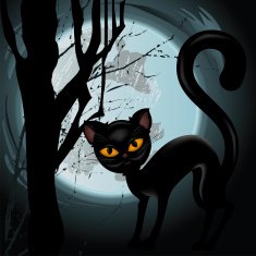 Black cat on moon background