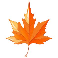 Autumn Leaf N10