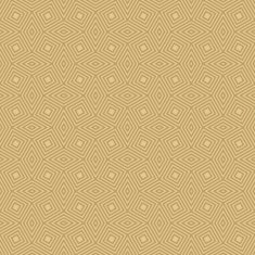 geometric pattern of tilted squares and rhombuses