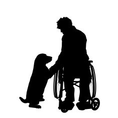 Vector silhouettes of man N96