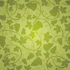 Vine seamless background N5