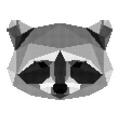 abstract monochrome raccoon portrait of circles isolated on white background N2