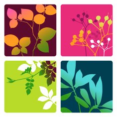 Nature Vignettes
