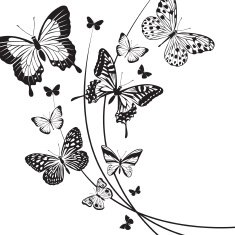 butterflies design N6