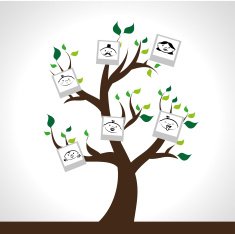 Family Tree N59