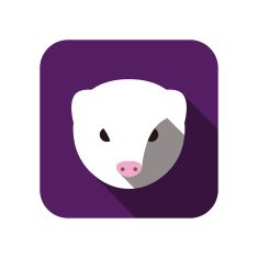 Mink animal face flat icon