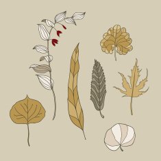 vector herbarium set