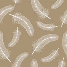 Feathers N48