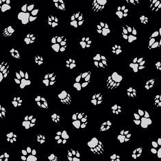 Animal footprint pattern N2