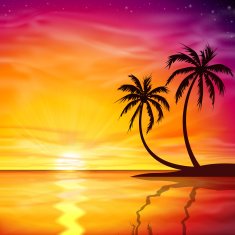 Sunset Sunrise with Palm Trees