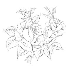 Single black rose ink painted