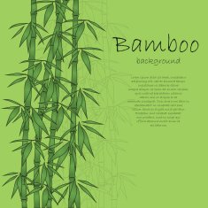 Bamboo Background N15