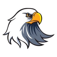 Eagle Head N17