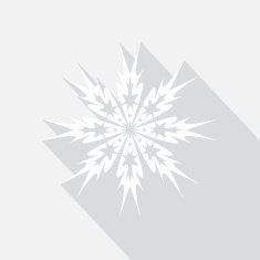 snowflake icon N25