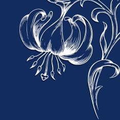 Vector greeting or invitation card N8