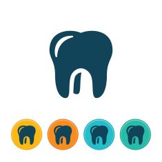 Human Tooth Icon
