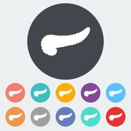 Pancreas icon N4