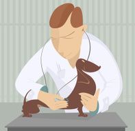 Veterinarian N3