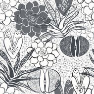 Monochrome seamless pattern with succulents N2