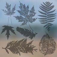 Vector collection of leaf silhouettes leaves N9