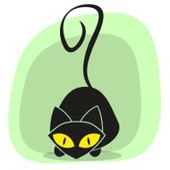 Black Cat N51
