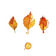 Autumn watercolor leaves concept
