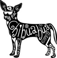 Pet Chihuahua Dog N2