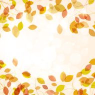 Autumn background with leaves N47