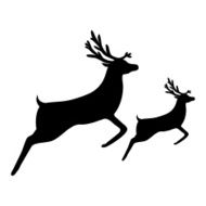 Christmas reindeer on a white background