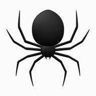 Black Spider N6