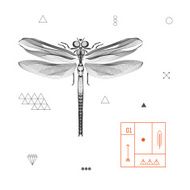 Abstract design dragonfly Vector Isolated on a white background