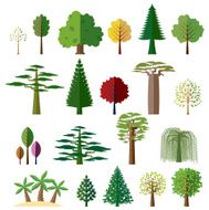 Trees from different regions of the world N2