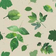Leaves set N2