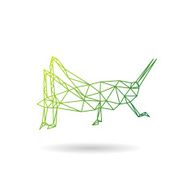 Grasshopper abstract isolated on a white backgrounds vector illustration N2