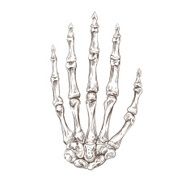 Skeleton hand vector illustration N2