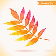 Watercolor colorful vector leaf Vector illustration N2