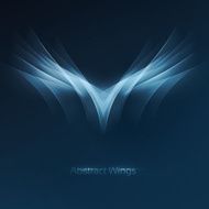 Abstract wings N2